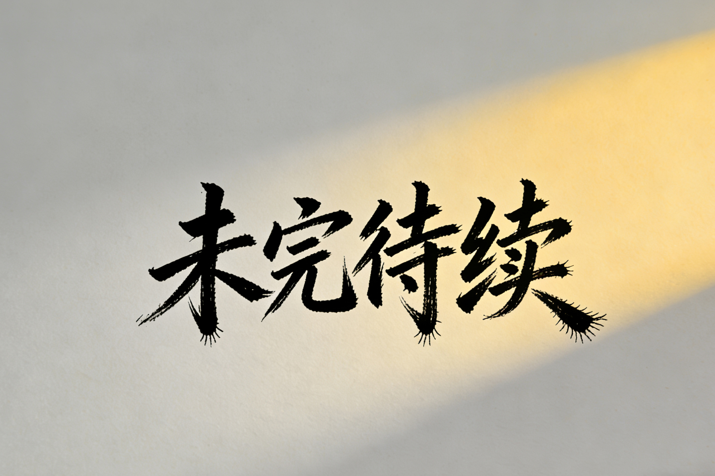 未完待续